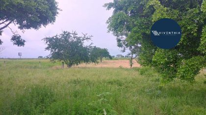 Terreno Altos de Peña