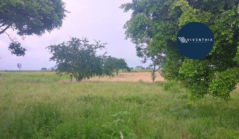 Terreno Altos de Peña