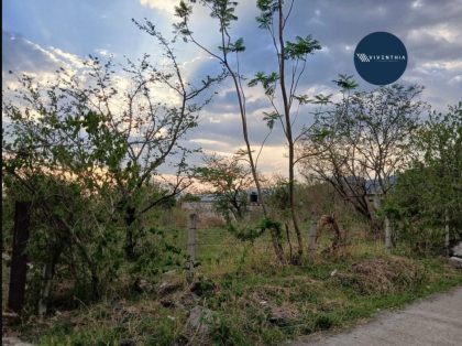 Terreno Oaxtepec